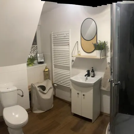 Apartment Apartmens Berfin Olbernhau